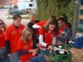 Photo Number 6