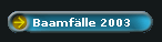 Baamf�lle 2003